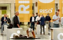 Santarella: "Un'opportunità di business per il settore del riso"