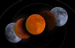 Occhi al cielo domenica per un’insolita eclisse totale di luna