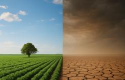 Fissate strategia e composizione dello strumento operativo sui cambiamenti climatici