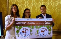 Casale Monferrato si prepara alla 64ª Festa del Vino