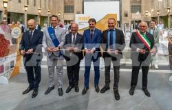 Entra nel vivo "Risò - B2B Meeting" per creare nuovi rapporti commerciali