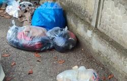 Incivili "in azione" a  Crescentino
