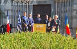 Risò, si fanno i primi bilanci