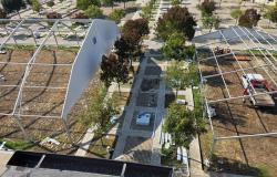 Sparita l'erba da piazza Antico Ospedale