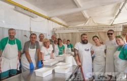 Festa del Vino: il cuore e i volti delle Pro Loco e delle associazioni (FOTO) - parte 2