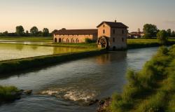 Architetture e paesaggi risicoli in metamorfosi: dai monasteri alle moderne strutture nei borghi delle vie d’acqua 