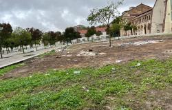 Dove una volta c'era un prato, anzi più prati...