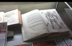 Viaggio nella storia della medicina con il Dott. Sergio Macciò (Parte 2)