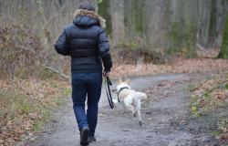 Vercelli: animali  e padroni insieme nella tomba