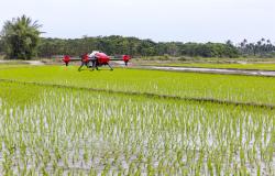 Via libera all’utilizzo dei droni in agricoltura