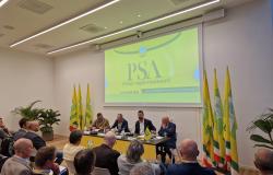 "Cinghiali: bisogna incrementare il depopolamento"