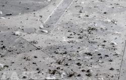 Billiemme: i pavimenti del cimitero ricoperti da escrementi