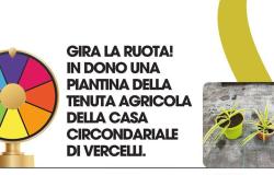 Gira la ruota! In dono una piantina della tenuta agricola della Casa circondariale di Vercelli