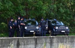 Contrasto allo spaccio nei boschi: cinque persone identificate