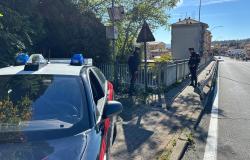 Fermato dai Carabinieri, si getta nell'Elvo da 7 metri di altezza