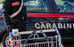 Fermato dopo un furto, si scaglia violentemente contro i Carabinieri