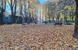 Le foglie di piazza Mazzini sono belle solo da vedere