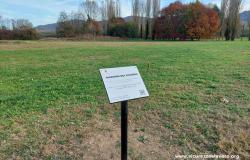 Strage di Brandizzo, nasce il "Giardino del Ricordo"​