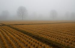 Nebbia e qualche pioggia e freddo nel fine settimana