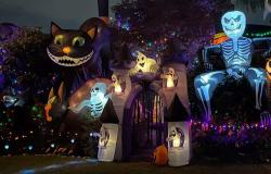 L'avventura di due studentesse vercellesi in Regno Unito e Canada