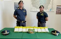Cuneo: sequestrati 15 chili di tabacco illegale 