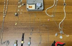 Candelo: ritrovata refurtiva, qualcuno la riconosce?