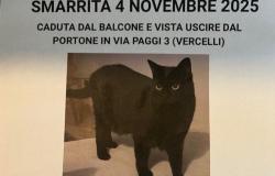 Cercasi disperatamente Luce