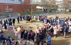 La "giornata degli alberi" celebrata alla primaria Bertinetti