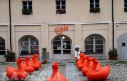 Vercelli: tante attività gratuite per i giovani nel mese di dicembre