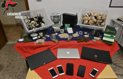 Vercelli: sequestrate 220 compresse illegali e funghi allucinogeni