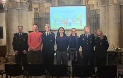 Truffe agli anziani: circa 160 partecipanti agli incontri informativi