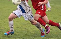 Giovanili regionali: risultati e programma