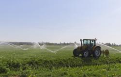 Risparmio  delle risorse idriche: tre milioni per le aziende agricole 