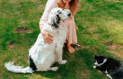 “Padrone informato, Cane fortunato”: ultimo incontro al Piccolo Studio