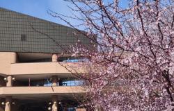 Interrogato il manager turco di Saluggia