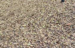 "Questa è la situazione del marciapiede vicino all'asilo Mora"