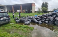 Montagna di rifiuti in gomma abbandonata a Cigliano: denunciata l'impresa