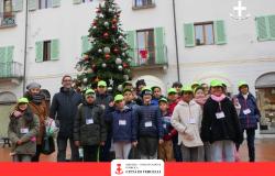 Vercelli: inaugurato "l'albero di tutti" in Piazza Palazzo Vecchio