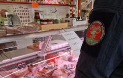 Novarese, controlli agroalimentari: sanzioni per 55mila euro