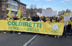 &ldquo;Forsa Piemunt &ndash; Date n&rsquo;andi&rdquo;: mobilitazione di 7mila agricoltori a Torino
