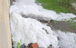 Sul riso "pesano" maltempo ed Europa