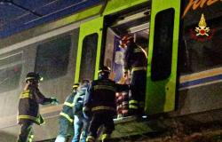 Treno investe un gruppo di mucche a Candelo: 8 animali morti