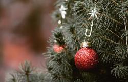 Che sia anche il Natale dei fragili