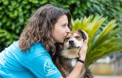 'Aprite la porta di casa e il cuore a un cane del rifugio di Borgo Vercelli'