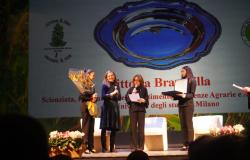 Alla ricercatrice Vittoria Brambilla il XVII Premio &ldquo;Donne & Riso&rdquo;