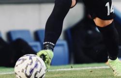 Il giudice sportivo non omologa il risultato di Albinoleffe-Pro Vercelli