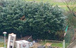 "Ai Cappuccini ci sentiamo completamente abbandonati"