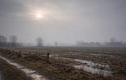 Cielo grigio, sole pallido e temperature attorno ai 6 gradi