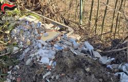 Abbandona rifiuti vicino all'ex "Botanica di Vigliano Biellese": denunciato