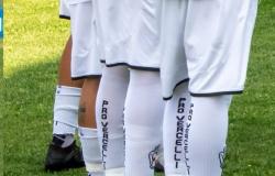 Albinoleffe-Pro Vercelli, respinto il ricorso: le motivazioni 